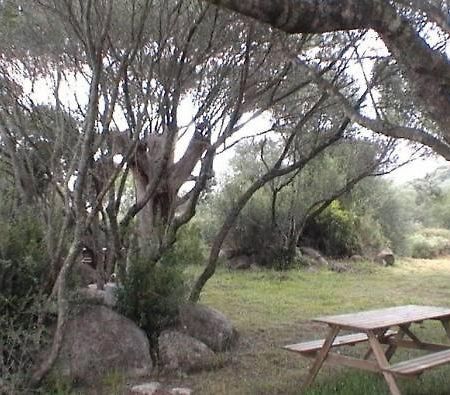 Les Bergeries D'Ogliastrello Villa ฟิการี ภายนอก รูปภาพ